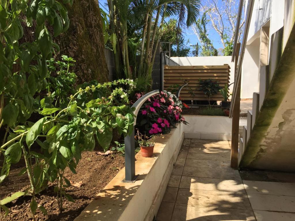 Nicole Residence Avec Piscine Chauffee & Jacuzzi ซานต์-อองเดร ภายนอก รูปภาพ